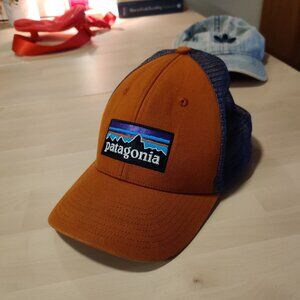 Patagonia Trucker hat